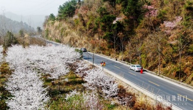 马河猪头岭