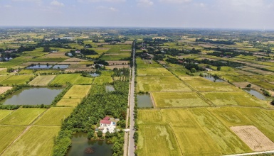 荆门好“丰”景